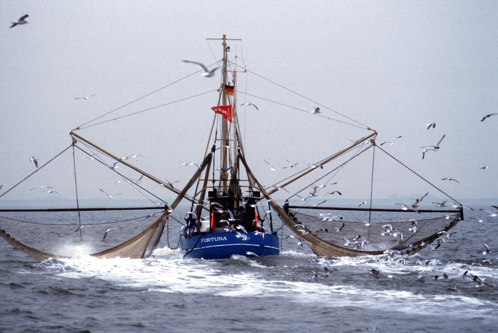 Hafenambiente Husum (Schleswig-Holstein)